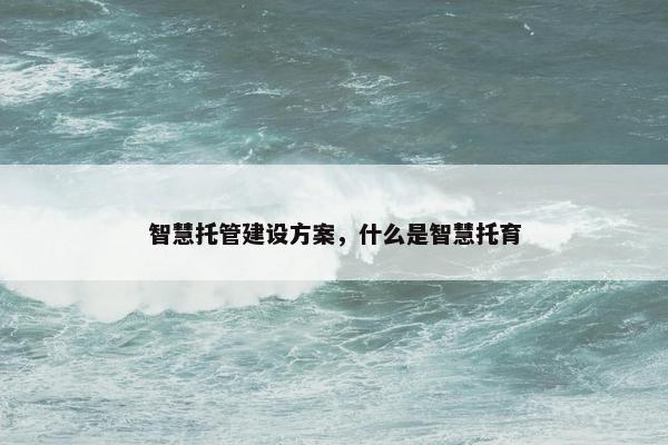 智慧托管建设方案，什么是智慧托育