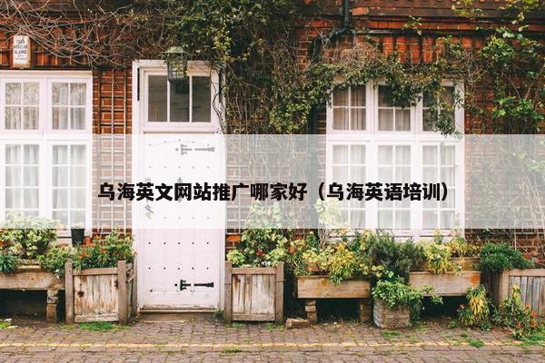 乌海英文网站推广哪家好（乌海英语培训）