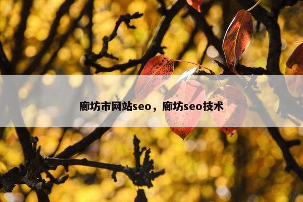 廊坊市网站seo，廊坊seo技术
