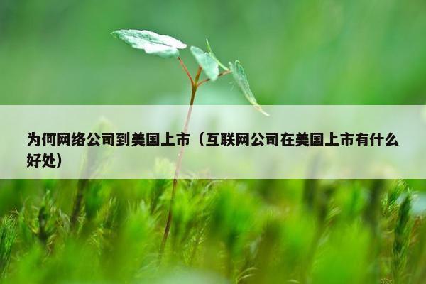 为何网络公司到美国上市（互联网公司在美国上市有什么好处）