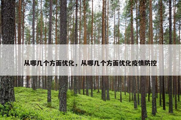 从哪几个方面优化，从哪几个方面优化疫情防控