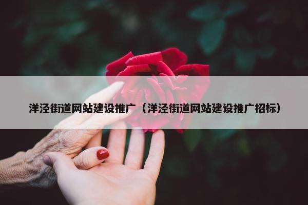 洋泾街道网站建设推广（洋泾街道网站建设推广招标）