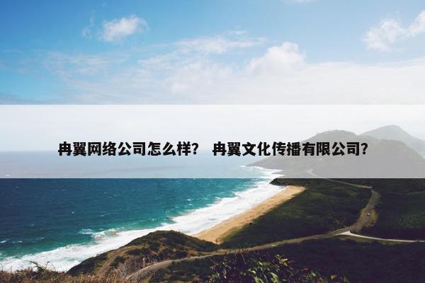 冉翼网络公司怎么样？ 冉翼文化传播有限公司？