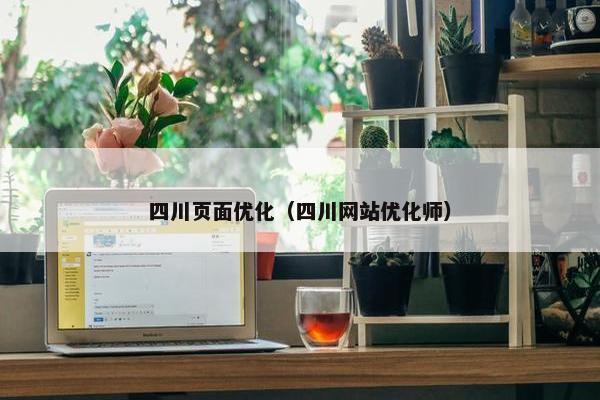 四川页面优化（四川网站优化师）