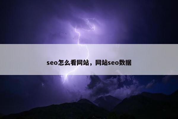 seo怎么看网站，网站seo数据