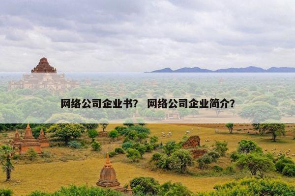 网络公司企业书？ 网络公司企业简介？