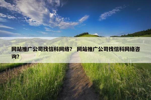 网站推广公司找信科网络？ 网站推广公司找信科网络咨询？