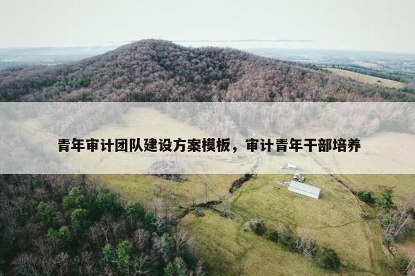 青年审计团队建设方案模板，审计青年干部培养