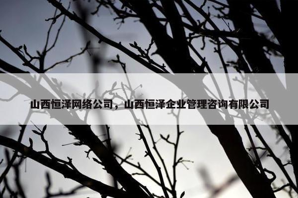山西恒泽网络公司，山西恒泽企业管理咨询有限公司