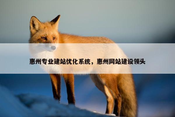 惠州专业建站优化系统，惠州网站建设领头