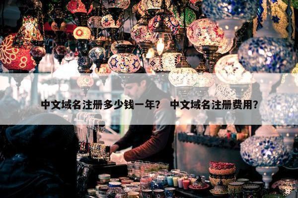 中文域名注册多少钱一年？ 中文域名注册费用？