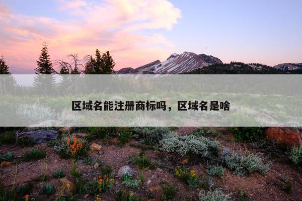 区域名能注册商标吗，区域名是啥