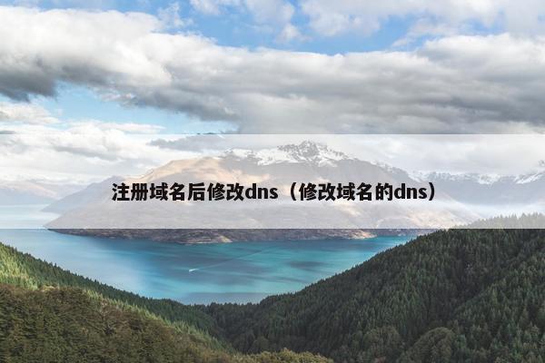 注册域名后修改dns（修改域名的dns）