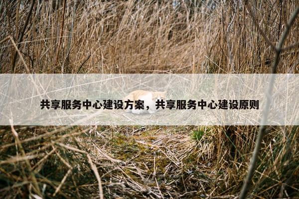 共享服务中心建设方案，共享服务中心建设原则