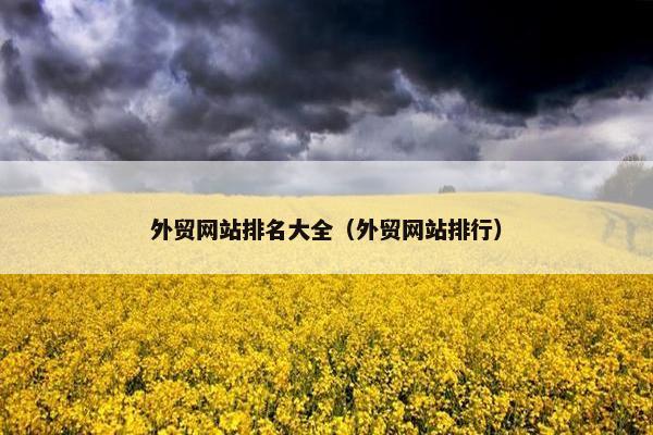 外贸网站排名大全（外贸网站排行）
