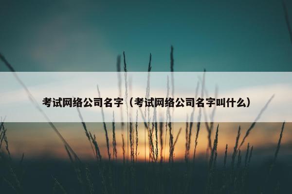 考试网络公司名字（考试网络公司名字叫什么）