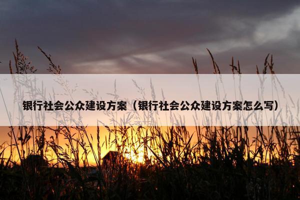 银行社会公众建设方案（银行社会公众建设方案怎么写）