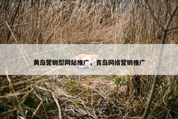 黄岛营销型网站推广，青岛网络营销推广