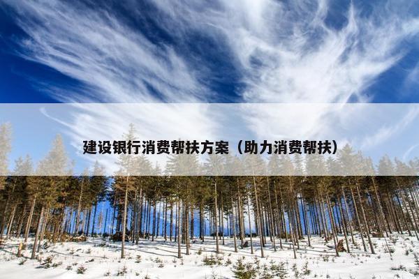 建设银行消费帮扶方案（助力消费帮扶）