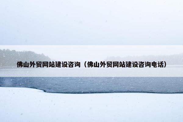 佛山外贸网站建设咨询（佛山外贸网站建设咨询电话）