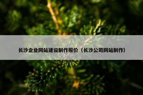 长沙企业网站建设制作报价（长沙公司网站制作）