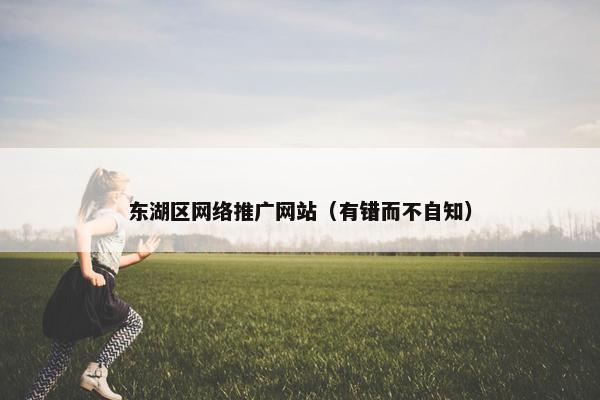 东湖区网络推广网站（有错而不自知）