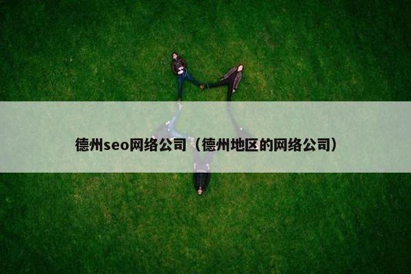德州seo网络公司（德州地区的网络公司）