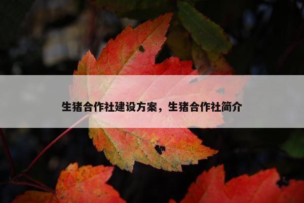 生猪合作社建设方案，生猪合作社简介