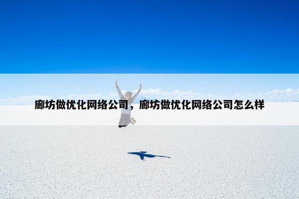 廊坊做优化网络公司，廊坊做优化网络公司怎么样