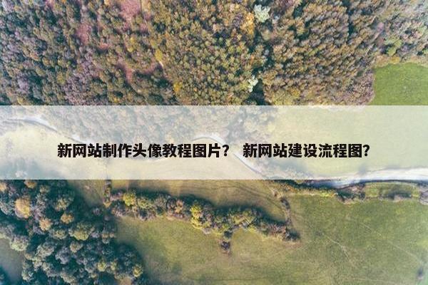 新网站制作头像教程图片？ 新网站建设流程图？