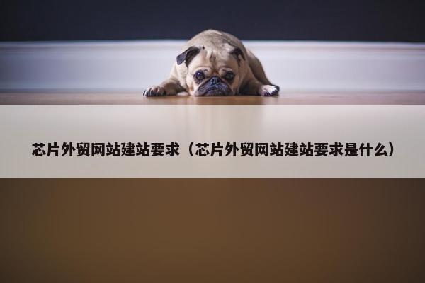 芯片外贸网站建站要求（芯片外贸网站建站要求是什么）
