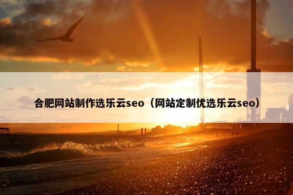 合肥网站制作选乐云seo（网站定制优选乐云seo）