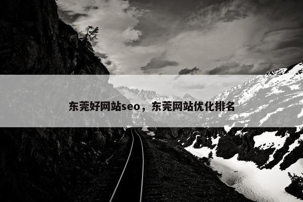 东莞好网站seo，东莞网站优化排名