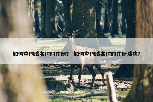 如何查询域名何时注册？ 如何查询域名何时注册成功？