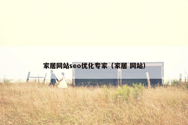 家居网站seo优化专家（家居 网站）