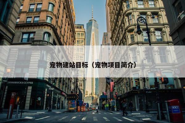 宠物建站目标（宠物项目简介）