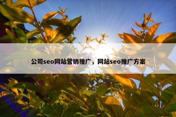 公司seo网站营销推广，网站seo推广方案