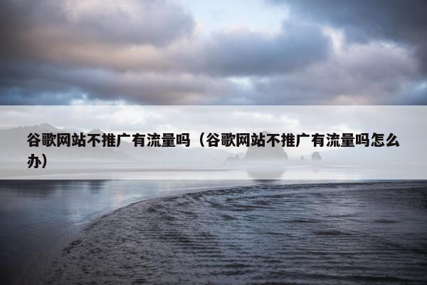 谷歌网站不推广有流量吗（谷歌网站不推广有流量吗怎么办）