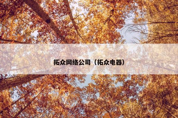 拓众网络公司（拓众电器）