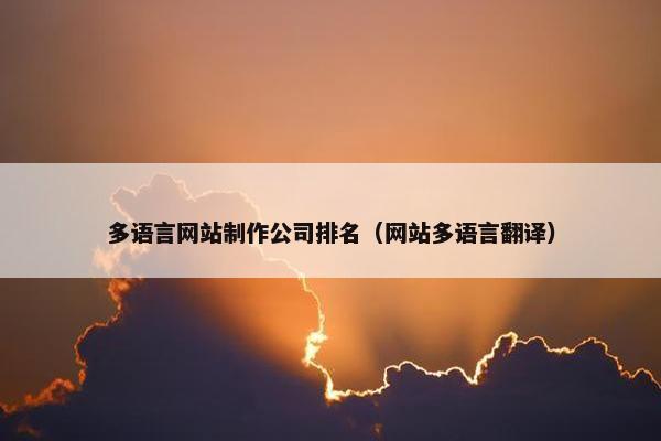 多语言网站制作公司排名（网站多语言翻译）