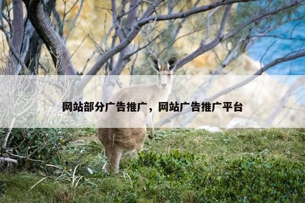 网站部分广告推广，网站广告推广平台