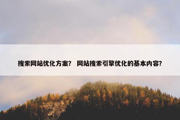 搜索网站优化方案？ 网站搜索引擎优化的基本内容？