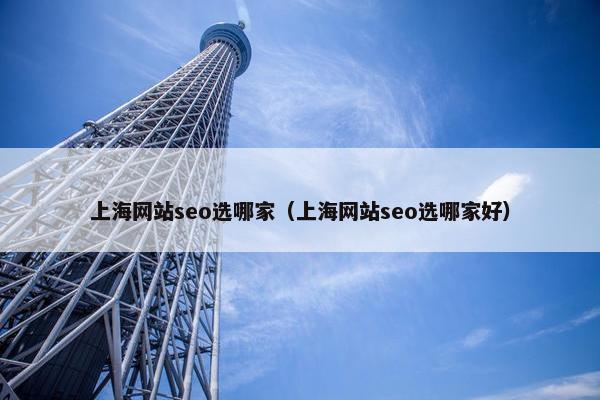 上海网站seo选哪家（上海网站seo选哪家好）