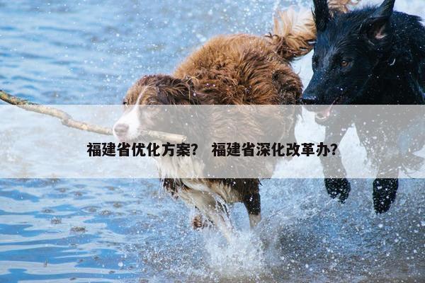 福建省优化方案？ 福建省深化改革办？