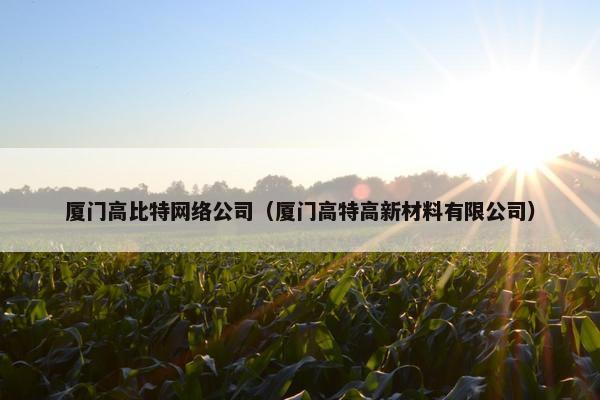 厦门高比特网络公司（厦门高特高新材料有限公司）