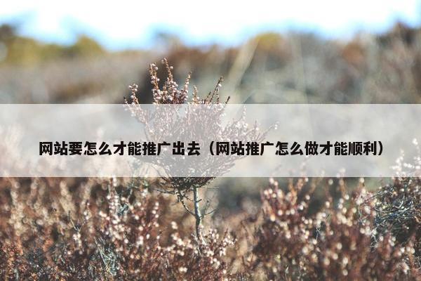 网站要怎么才能推广出去（网站推广怎么做才能顺利）