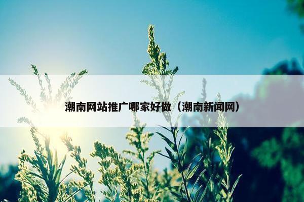 潮南网站推广哪家好做（潮南新闻网）