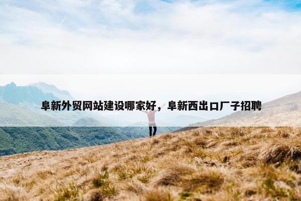 阜新外贸网站建设哪家好，阜新西出口厂子招聘