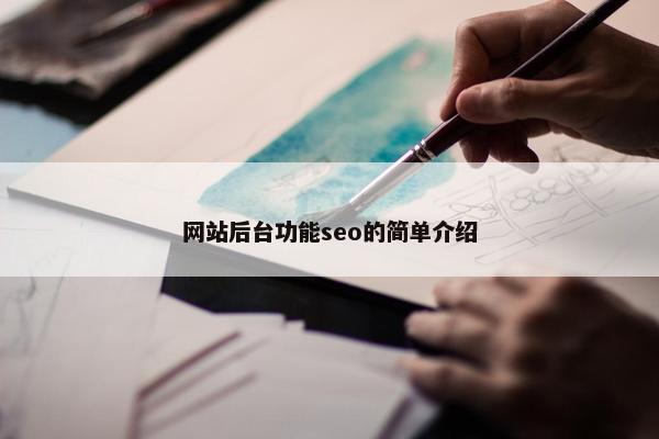 网站后台功能seo的简单介绍