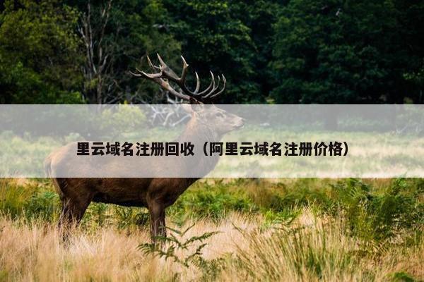 里云域名注册回收（阿里云域名注册价格）